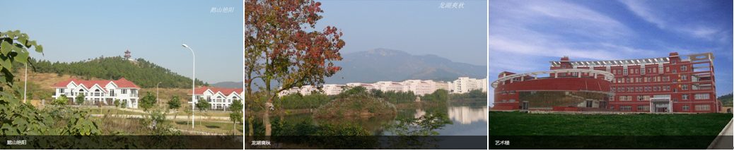 1513081772904434.png 图2.png