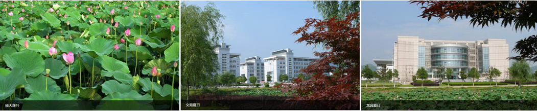 1513081787554782.png 图3-.png