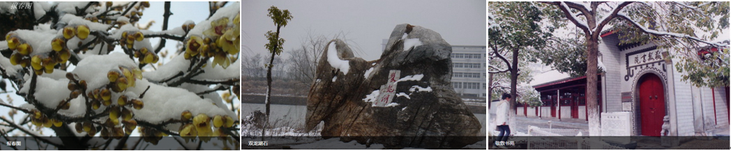 1513081811696540.png 图4.png